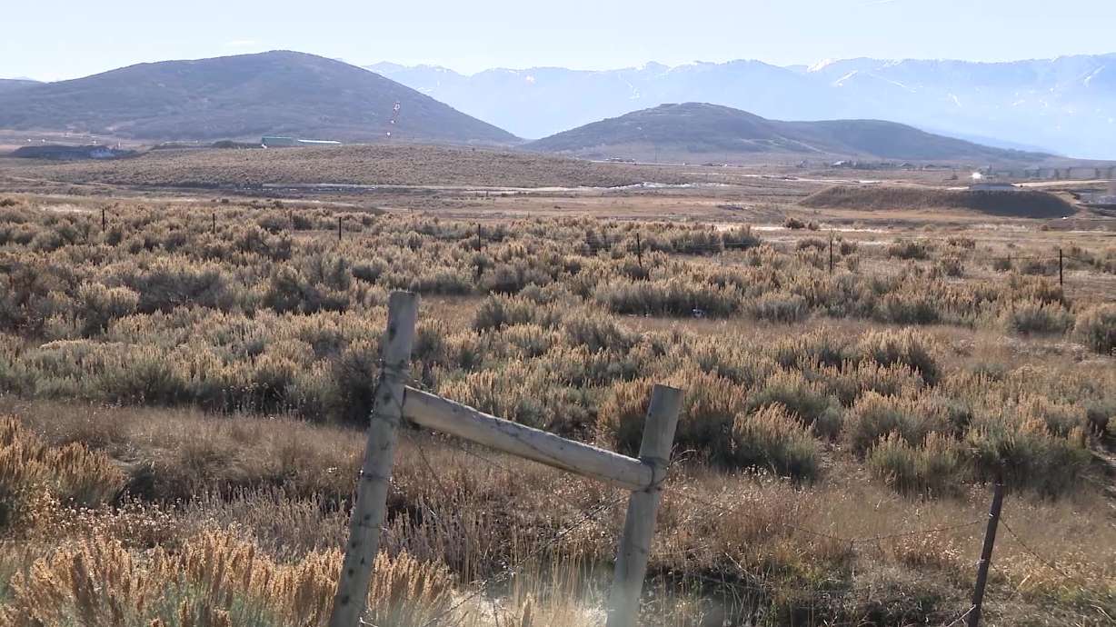 Utah Department of Agriculture and Food investigating mysterious death of 13 cows