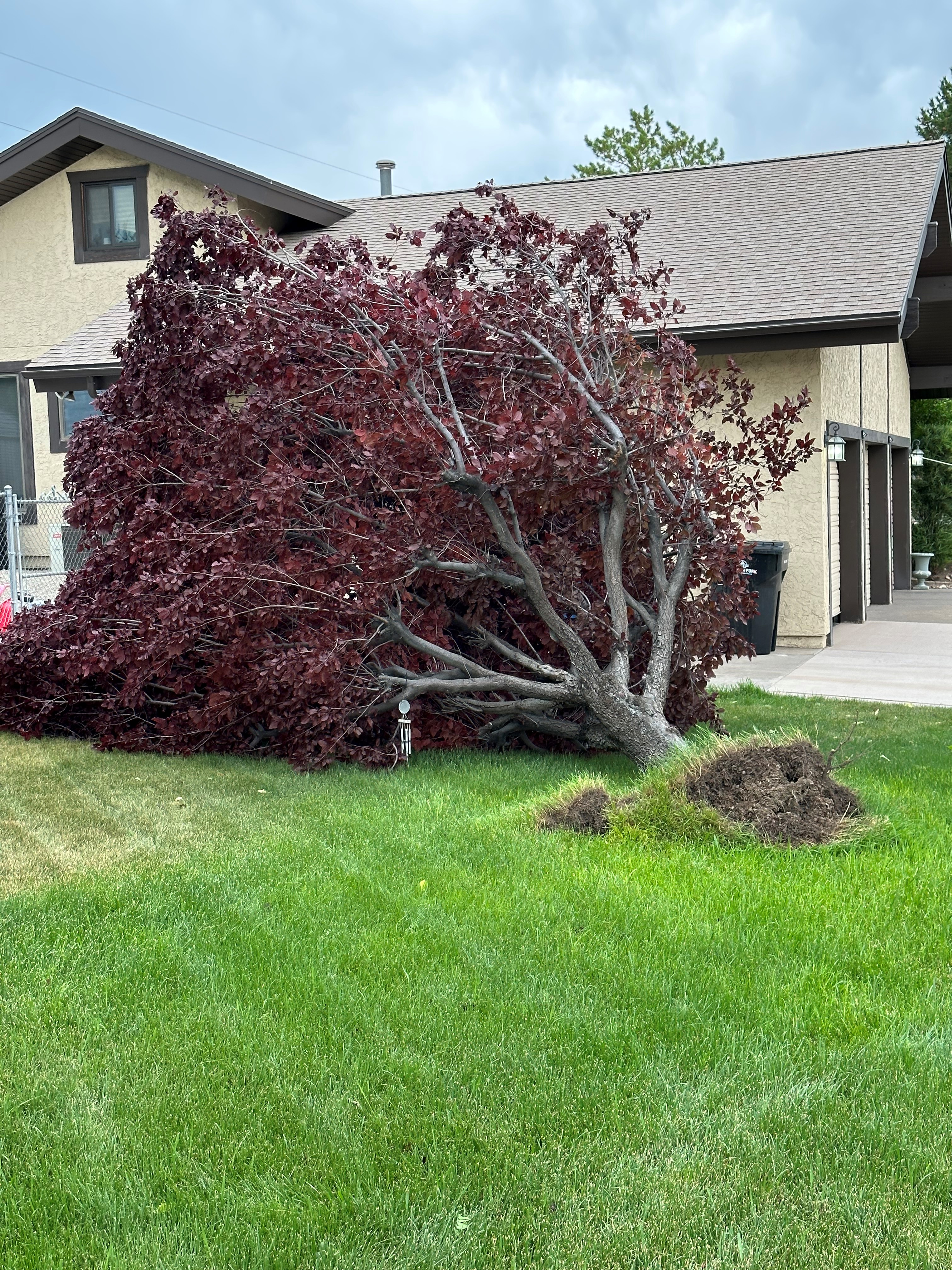 WEATHER ALERT: Potentially damaging and dangerous winds to blow into Wasatch Front