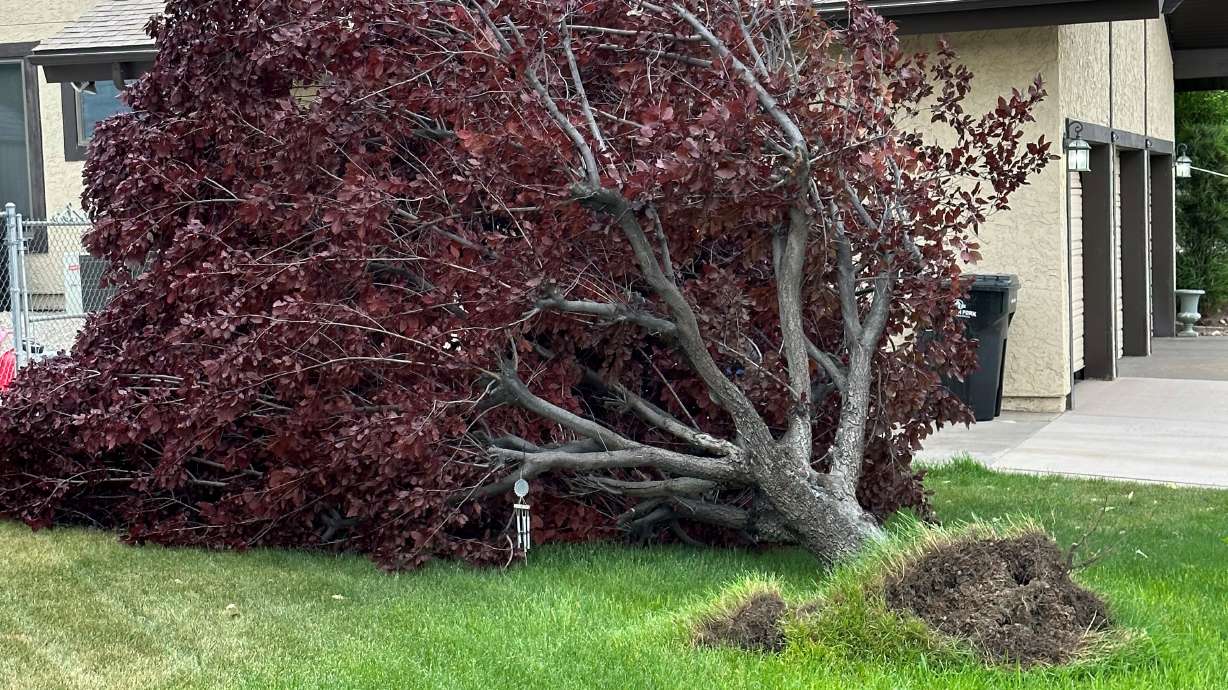 WEATHER ALERT: Potentially damaging and dangerous winds to blow into Wasatch Front