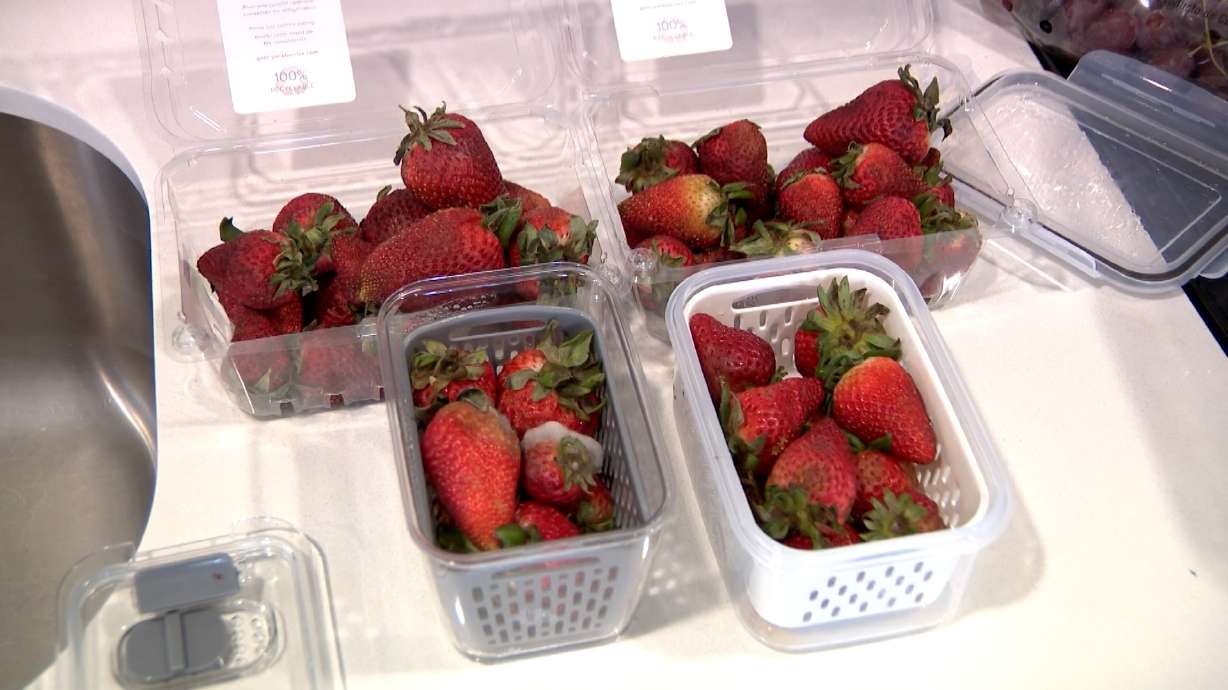 Food for thought: Do storage containers keep your fruits and veggies fresh longer?