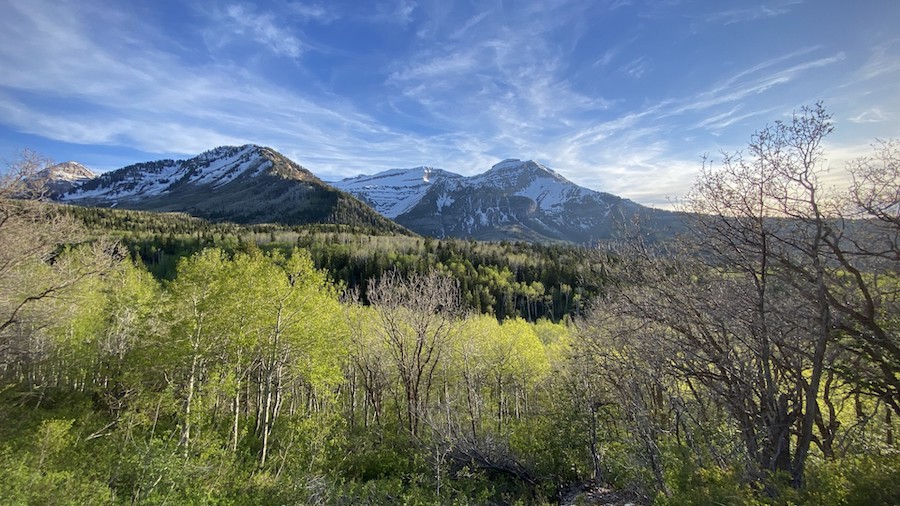 Alpine Loop officially reopens for summer season