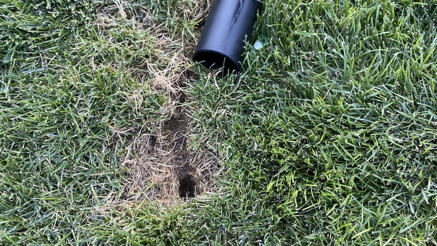 Pest control experts detail epic wave of vole problems from Saratoga Springs to Draper