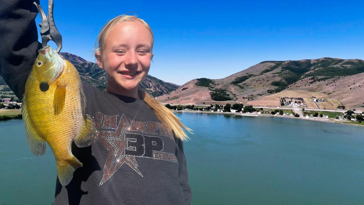 Giant Bluegill at Mantua Reservoir Provide Fishing Fun for Anglers and Kids