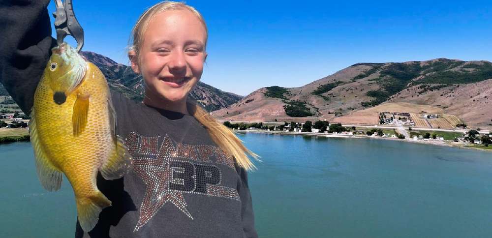 Giant bluegill at Mantua Reservoir provide fishing fun for anglers and kids