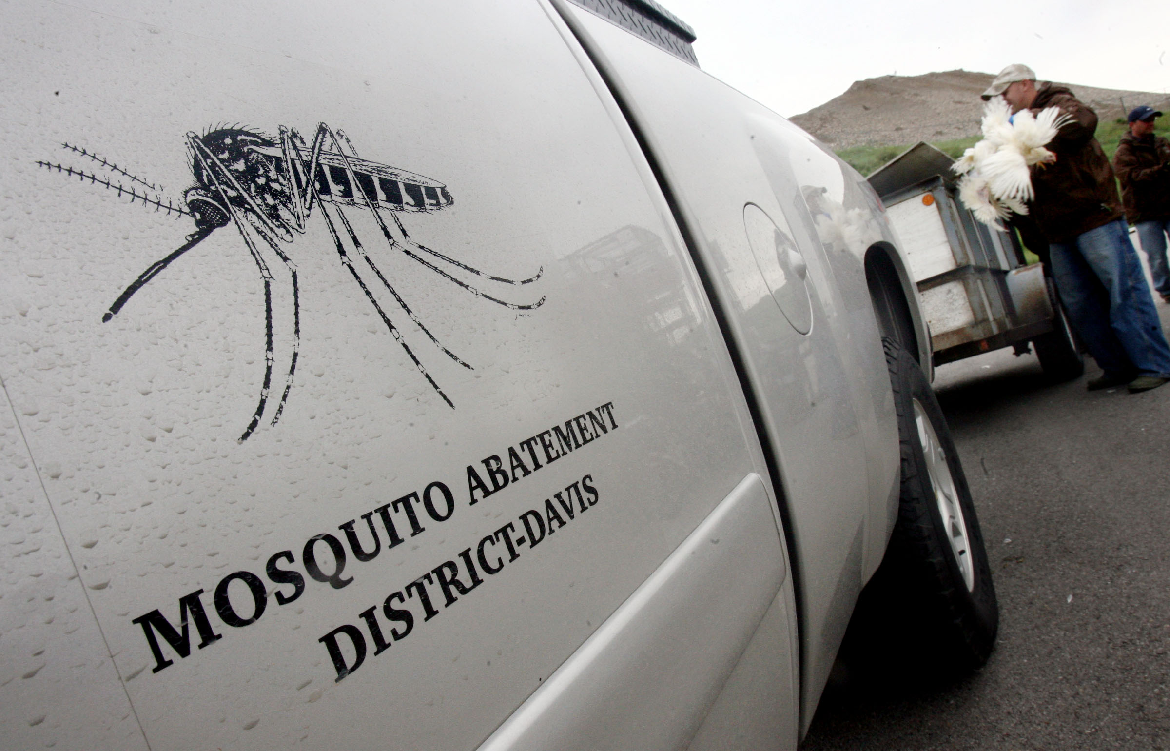 West Nile virus detected in Davis County mosquitoes