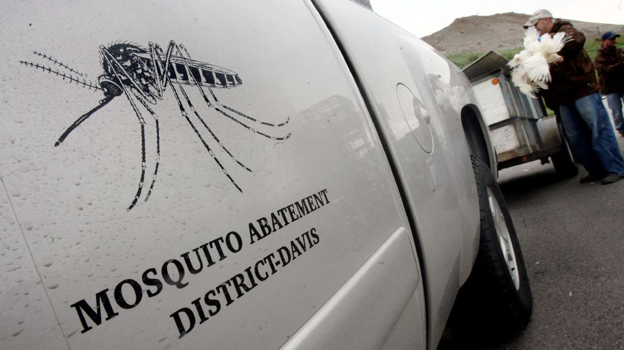 Ben Sperry (right) from Davis County loads White Leghorn chickens into a trailer at the Utah County Mosquito Abatement District Office in Provo on May 4, 2006.