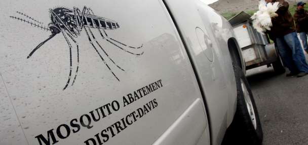 West Nile virus detected in Davis County mosquitoes