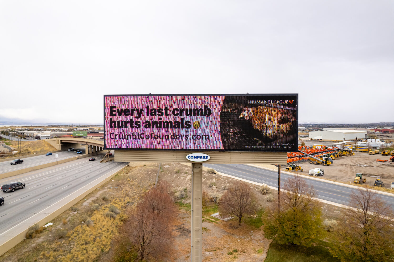 Crumbl Cookies uses caged eggs, planned protests hope to change that