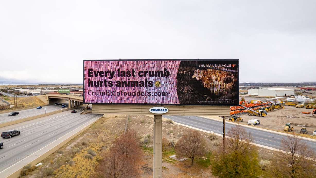 Crumbl Cookies uses caged eggs, planned protests hope to change that