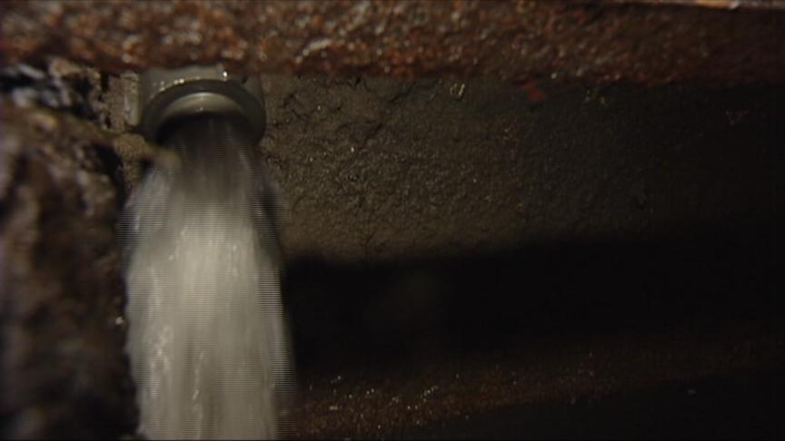 Cold temperatures can be dangerous for pets and people