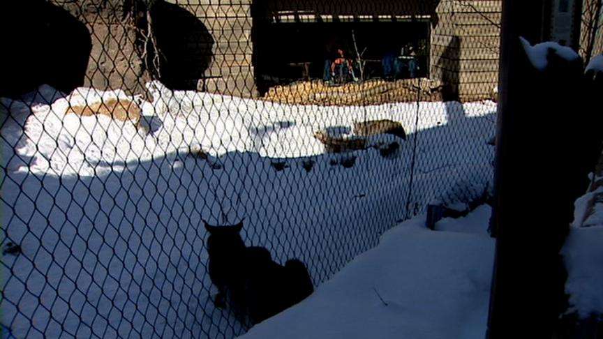 Hogle Zoo: San Francisco-like attack could not happen here