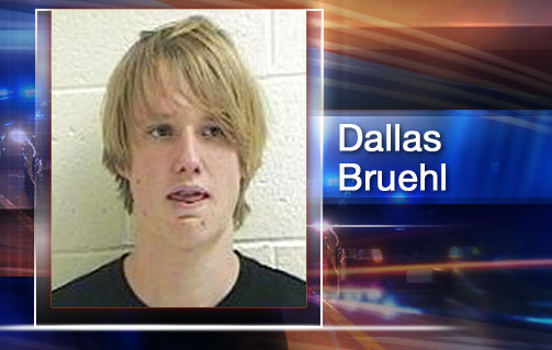 Driver insists dog leapt from car in high-speed chase