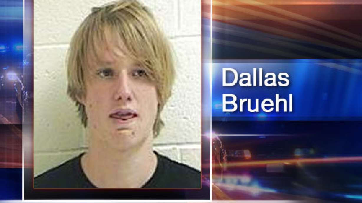 Driver insists dog leapt from car in high-speed chase