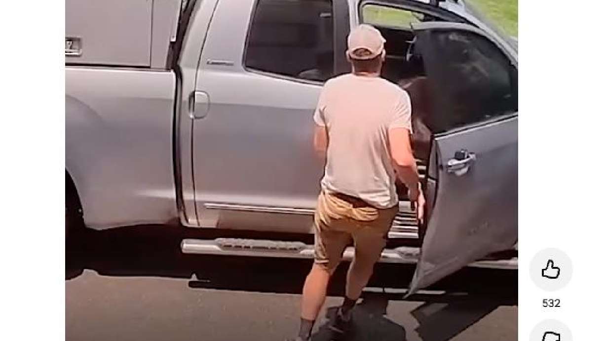 A man returning to his truck in Steamboat Springs, Colorado, had an unexpected passenger waiting for him in the front seat.