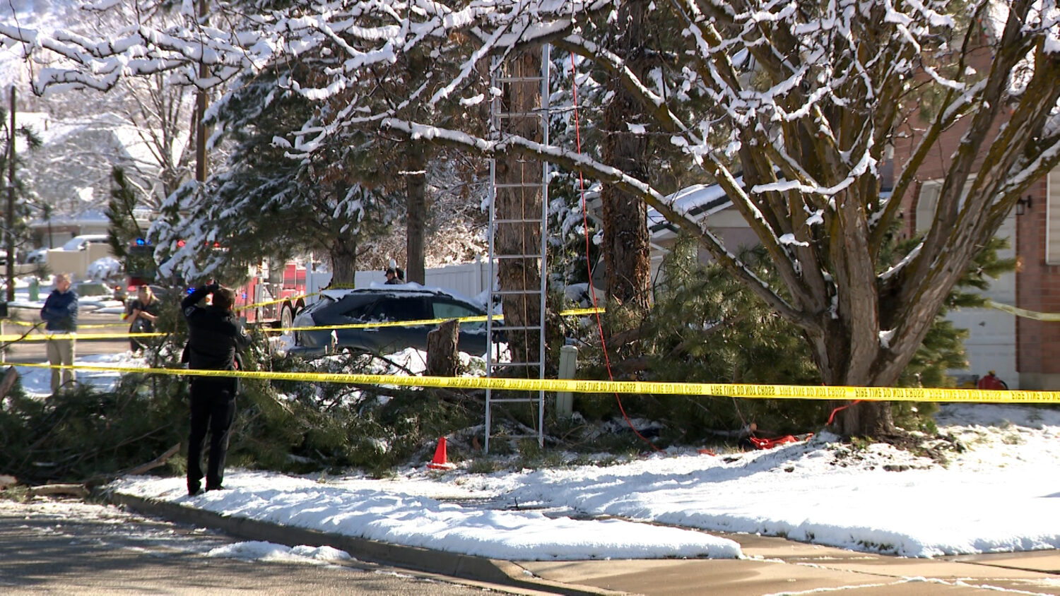Man dies after tree cutting accident in Kaysville