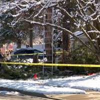 Man dies after tree cutting accident in Kaysville