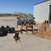 Traffic stop for expired registration leads to 1000-pound marijuana bust, police say