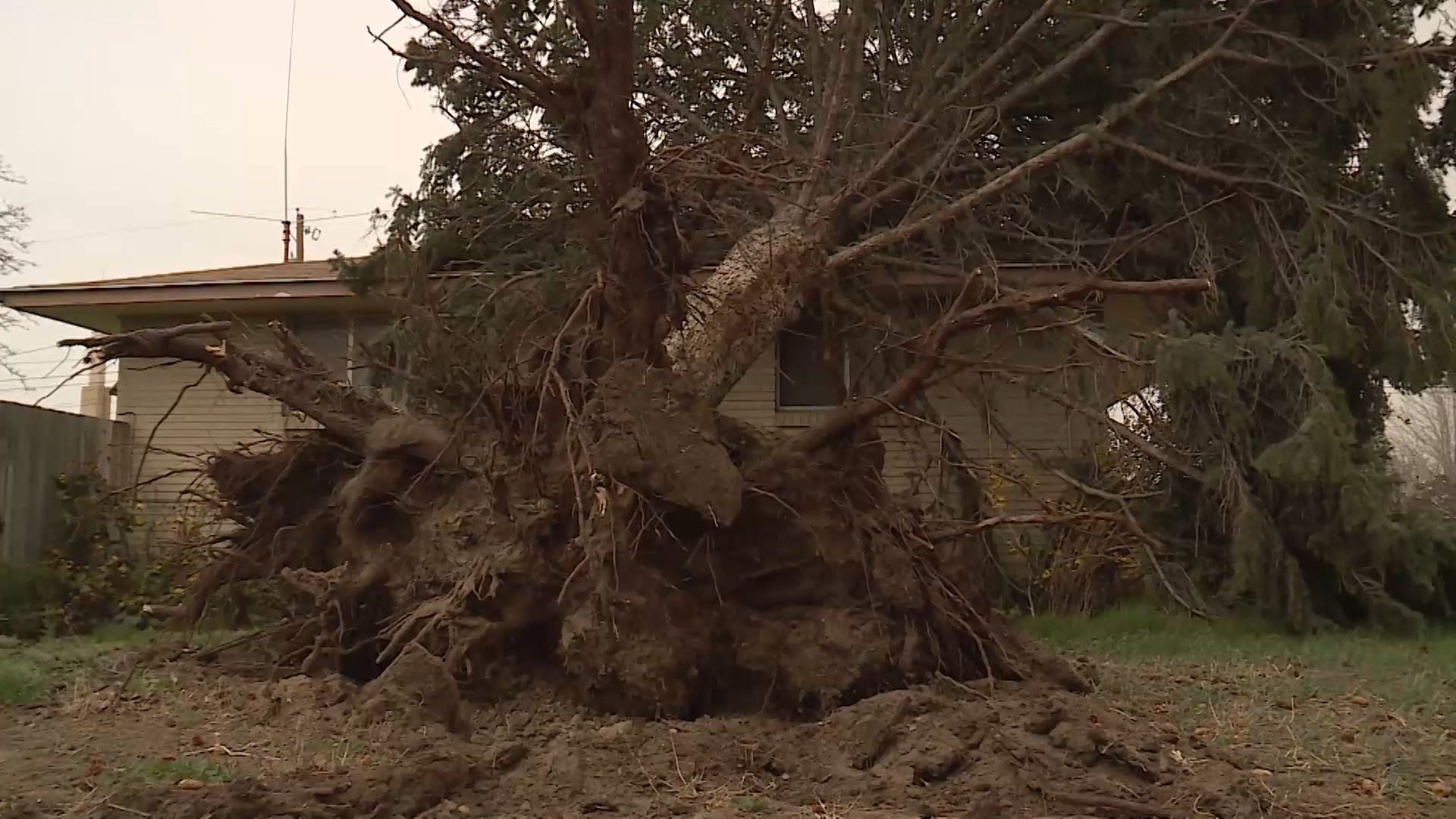 Little-Known Report Could Save You Money On Auto, Home Insurance