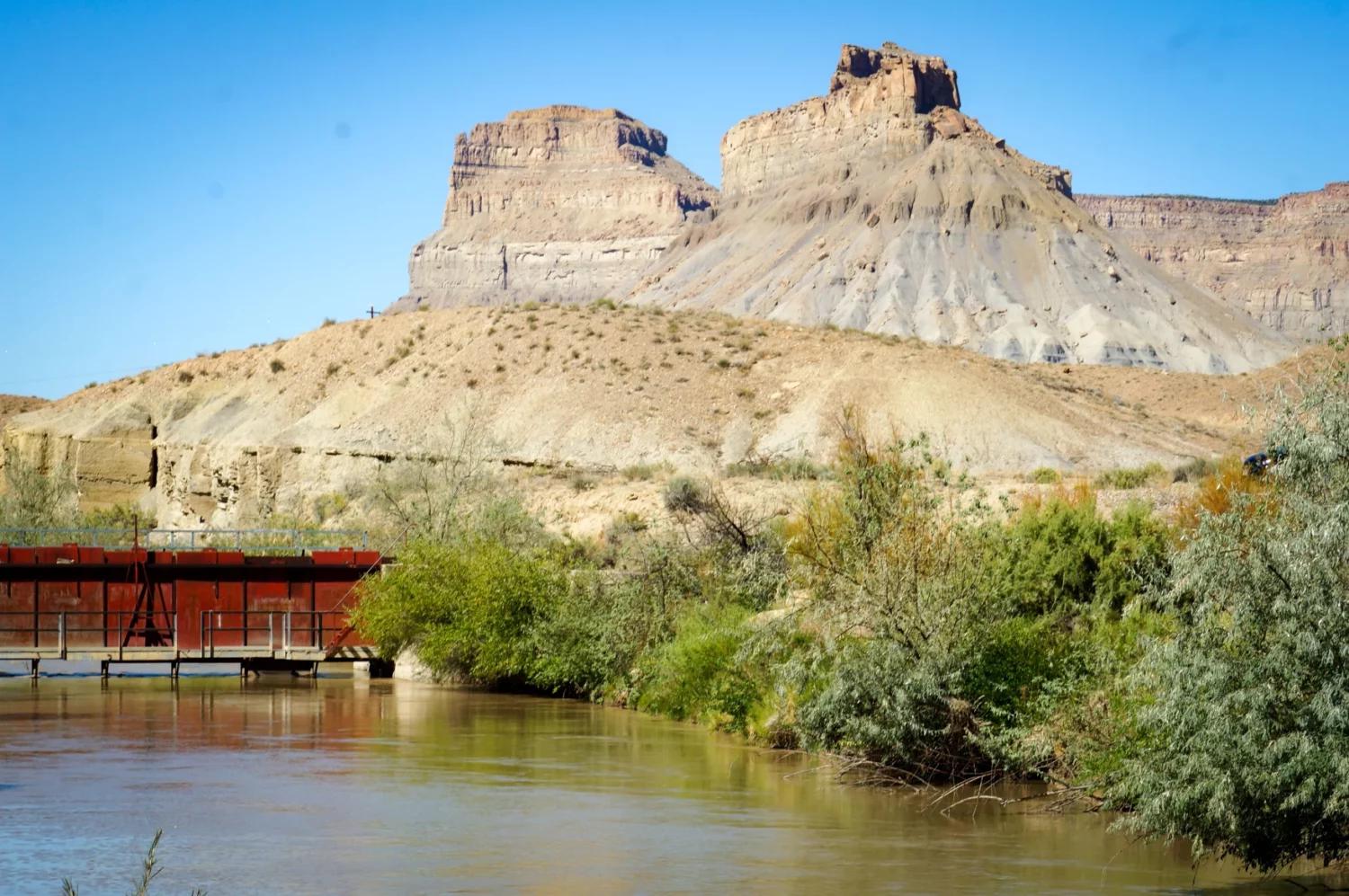 Landscape conversions saved 100 million gallons of water in 2024