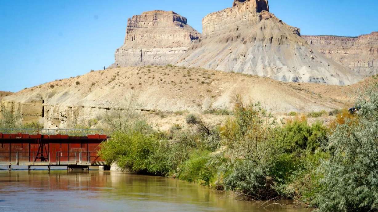Landscape conversions saved 100 million gallons of water in 2024