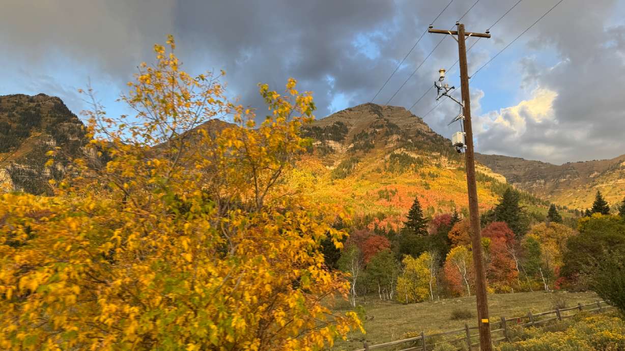 Alpine Loop motorcycle crash kills 17-year-old