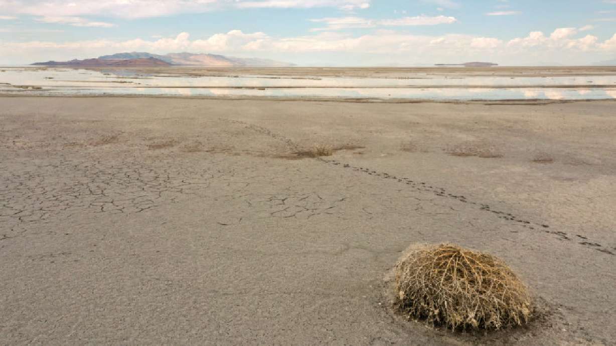 Over 90% of Utah in drought status, conditions likely to worsen