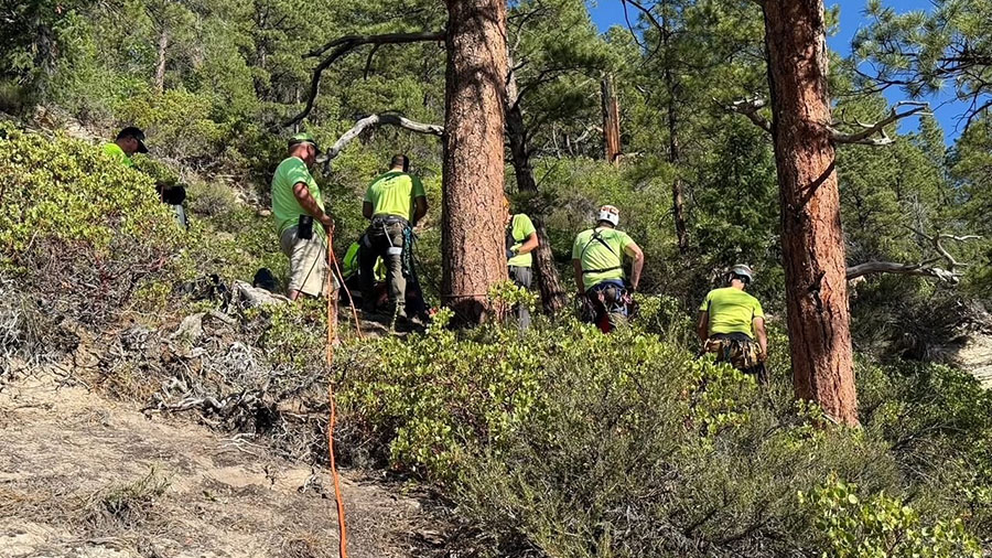 Four hikers rescued after getting lost in Zion National Park | KSL.com