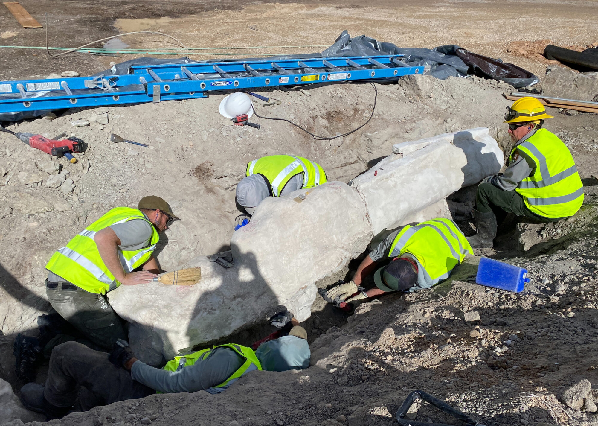 New dinosaur fossils excavated at Dinosaur National Monument