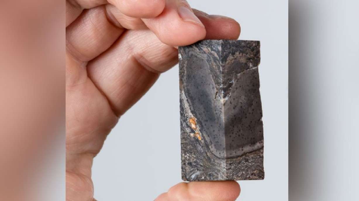 Scientists can't explain the Prototaxites, the largest life-form on land 400 million years ago