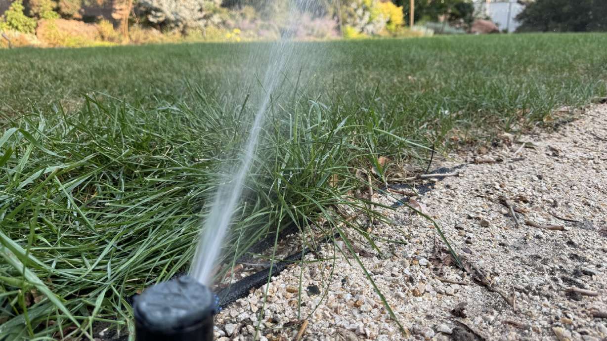 Where you can learn to create a landscape that saves water AND money (but still looks beautiful)