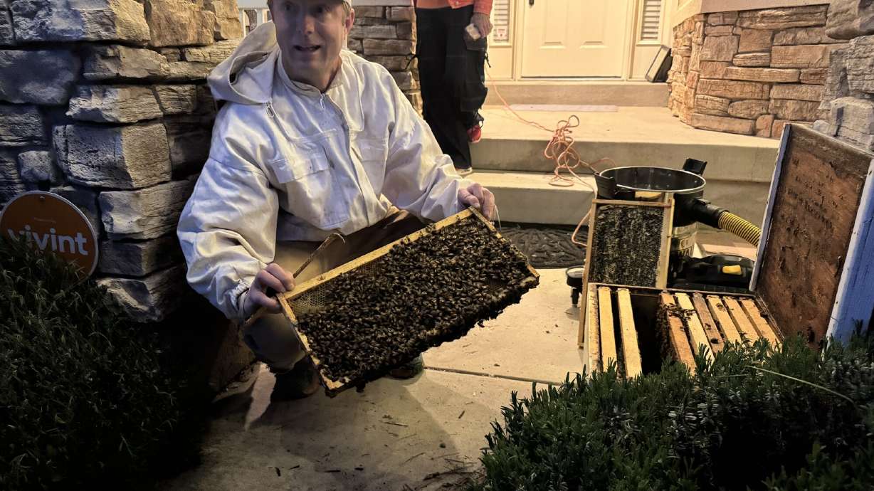 Kaysville homeowner surprised by swarm of 30,000 bees