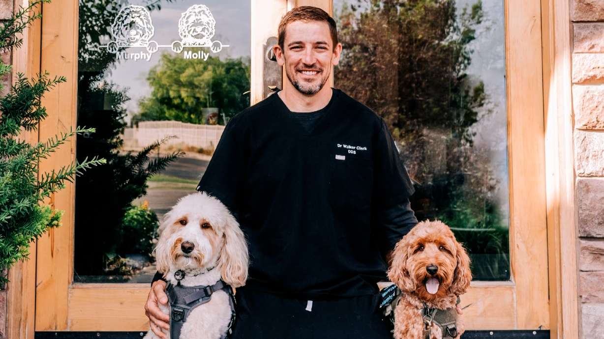 Therapy dogs at the dentist office