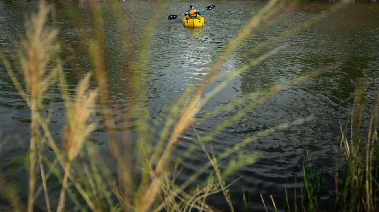 Dead fish, algal blooms and E. coli: More attention turns to the Jordan River’s water quality, but struggles persist