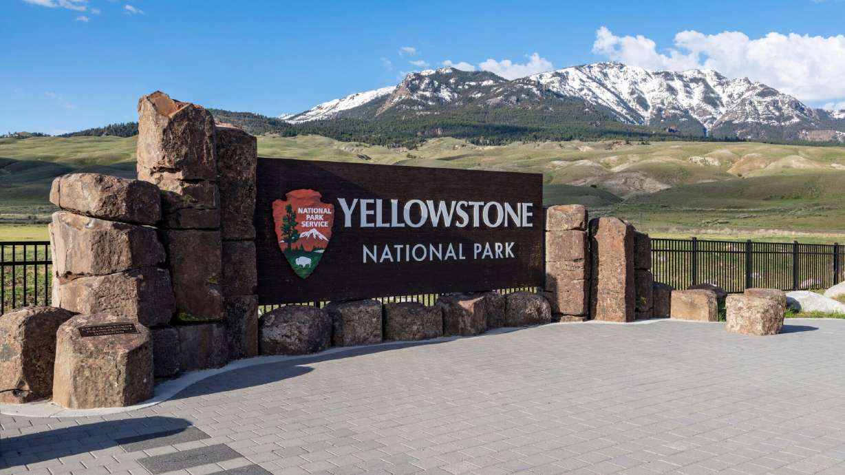 Bear attack injures two hikers in Yellowstone National Park