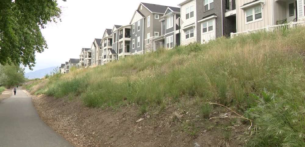 Vineyard City park listed for auction due to unpaid property taxes