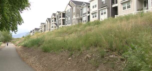 Vineyard City park listed for auction due to unpaid property taxes