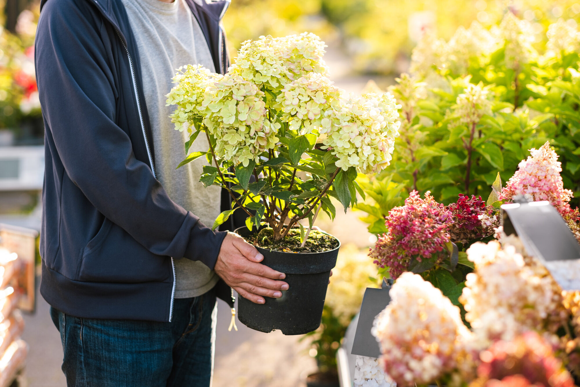 Take your planters up a level this year.
