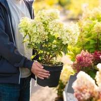 These 4 basic steps will level up your store-bought planters this summer