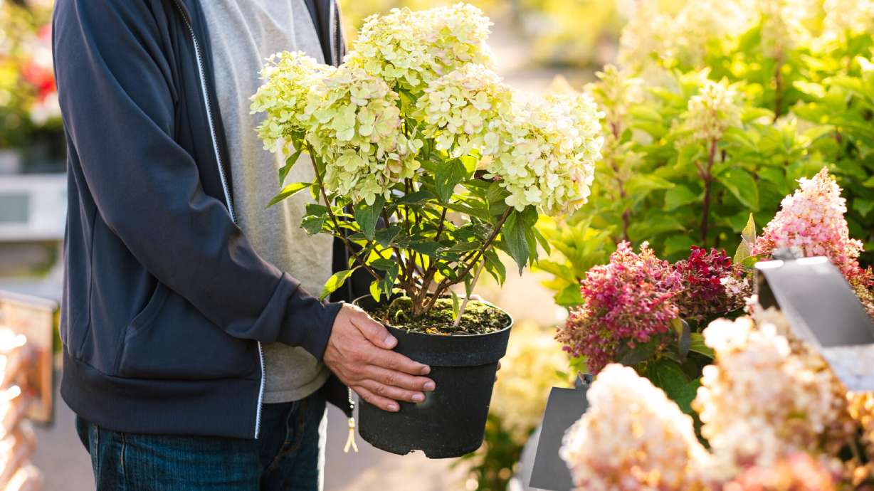 Take your planters up a level this year.