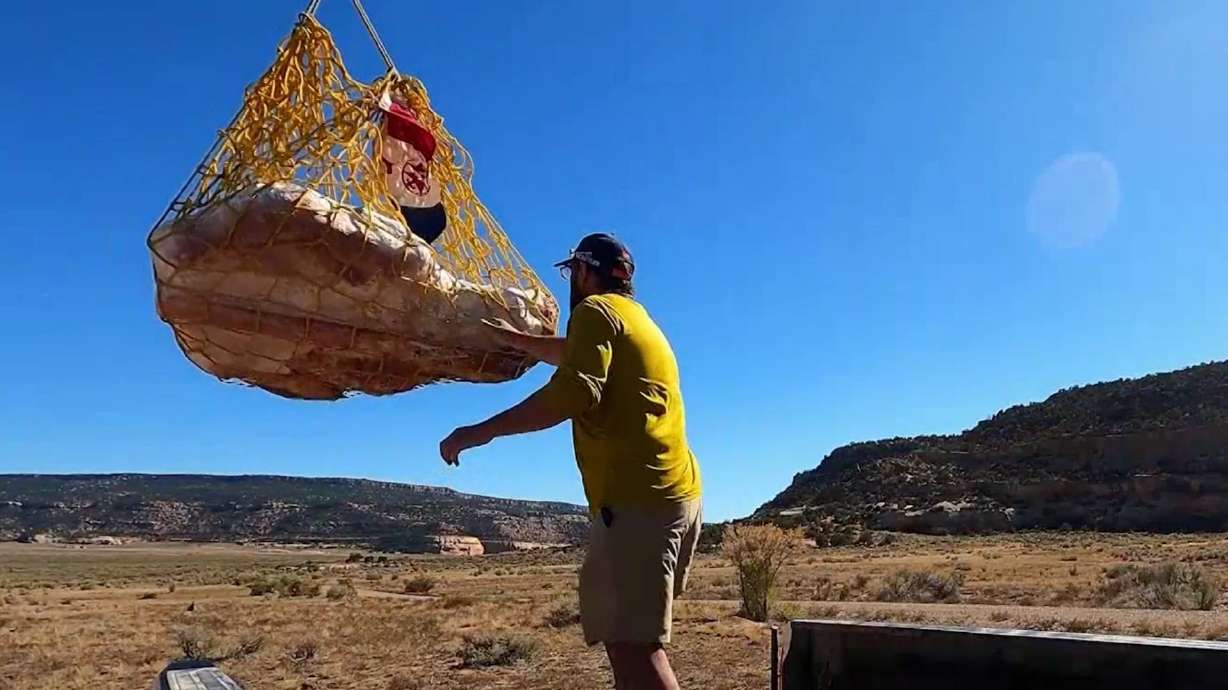 Dinosaur dig completed after 166 years