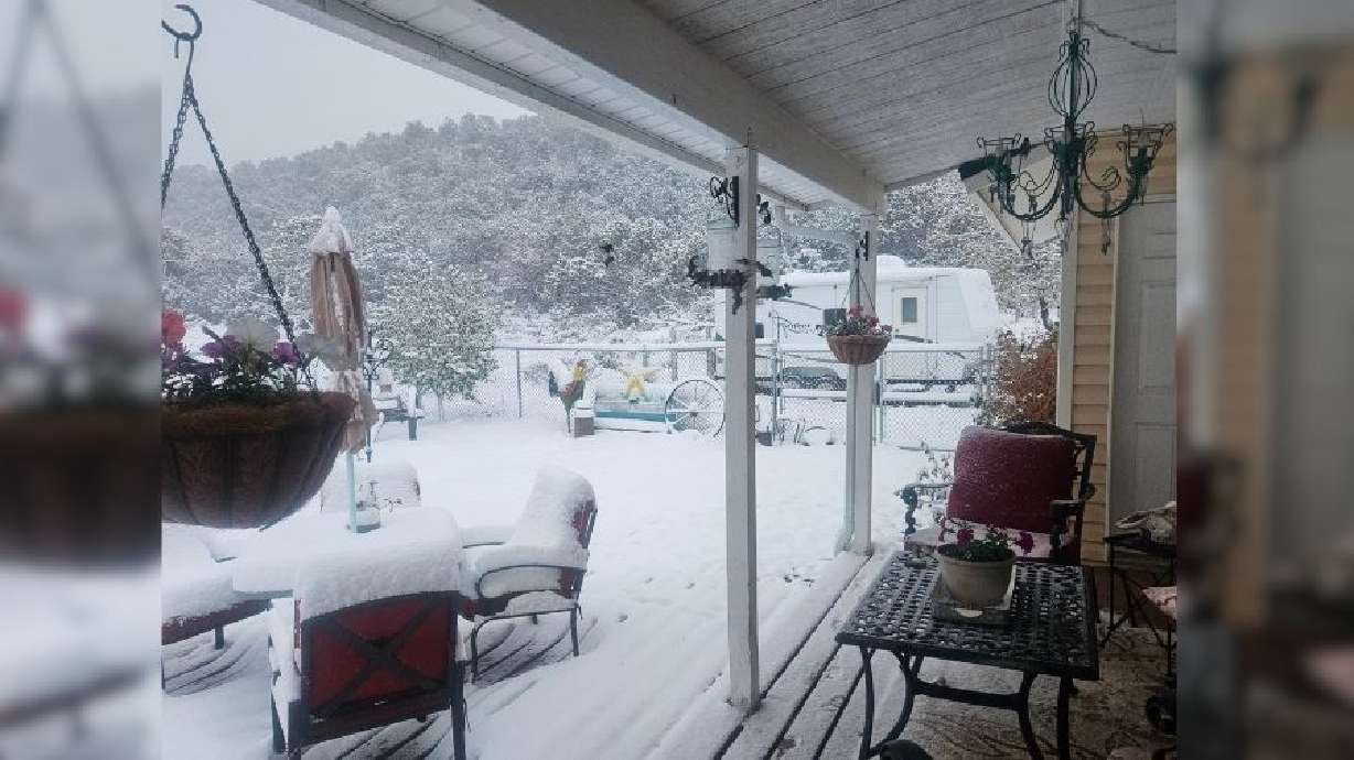Hummingbirds swarm feeder in Beaver after snowfall