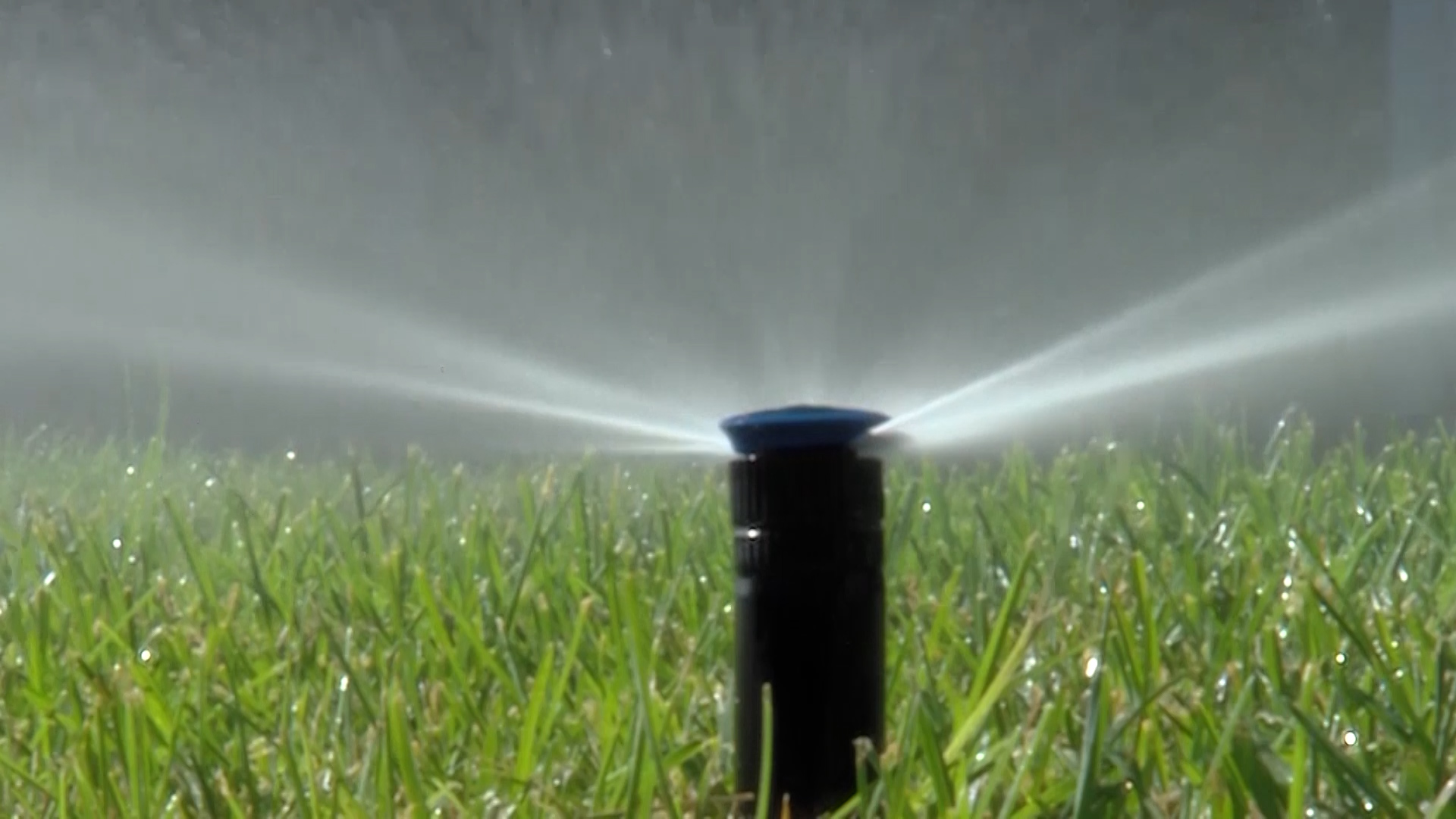 A file photo of a sprinkler.