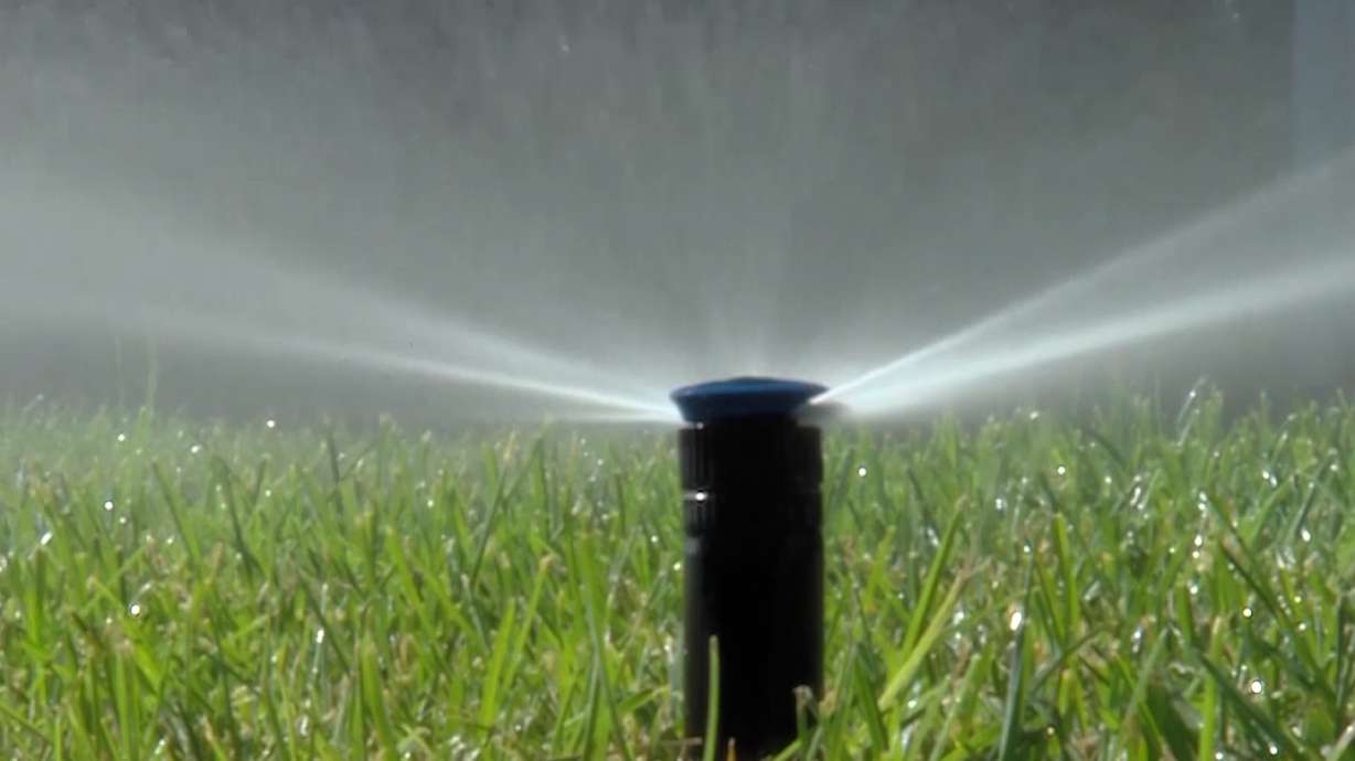 A file photo of a sprinkler.