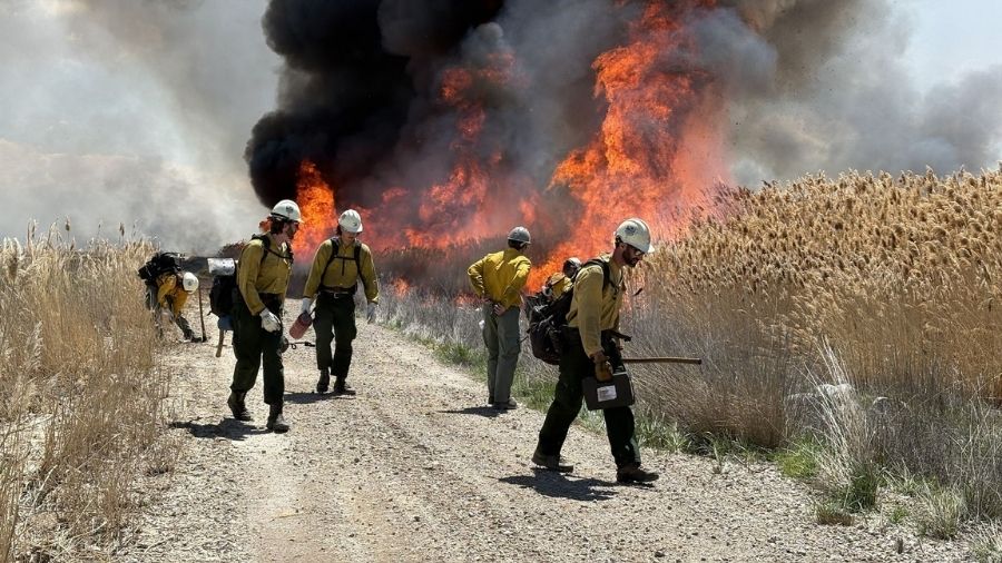 Memorial Day prescribed burn drops ash across Davis County