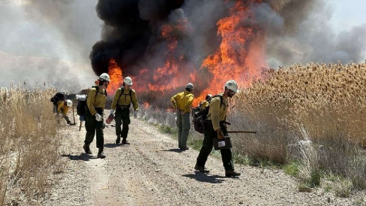 Memorial Day prescribed burn drops ash across Davis County