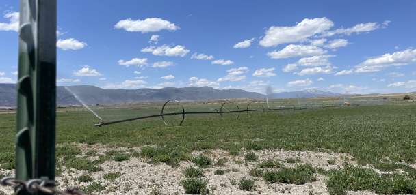 Central Utah farmers report worst conditions they've ever seen after dry winter