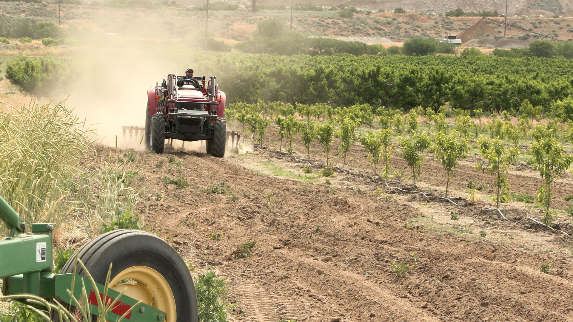 A worker plants new crops at the Pettingill farm.