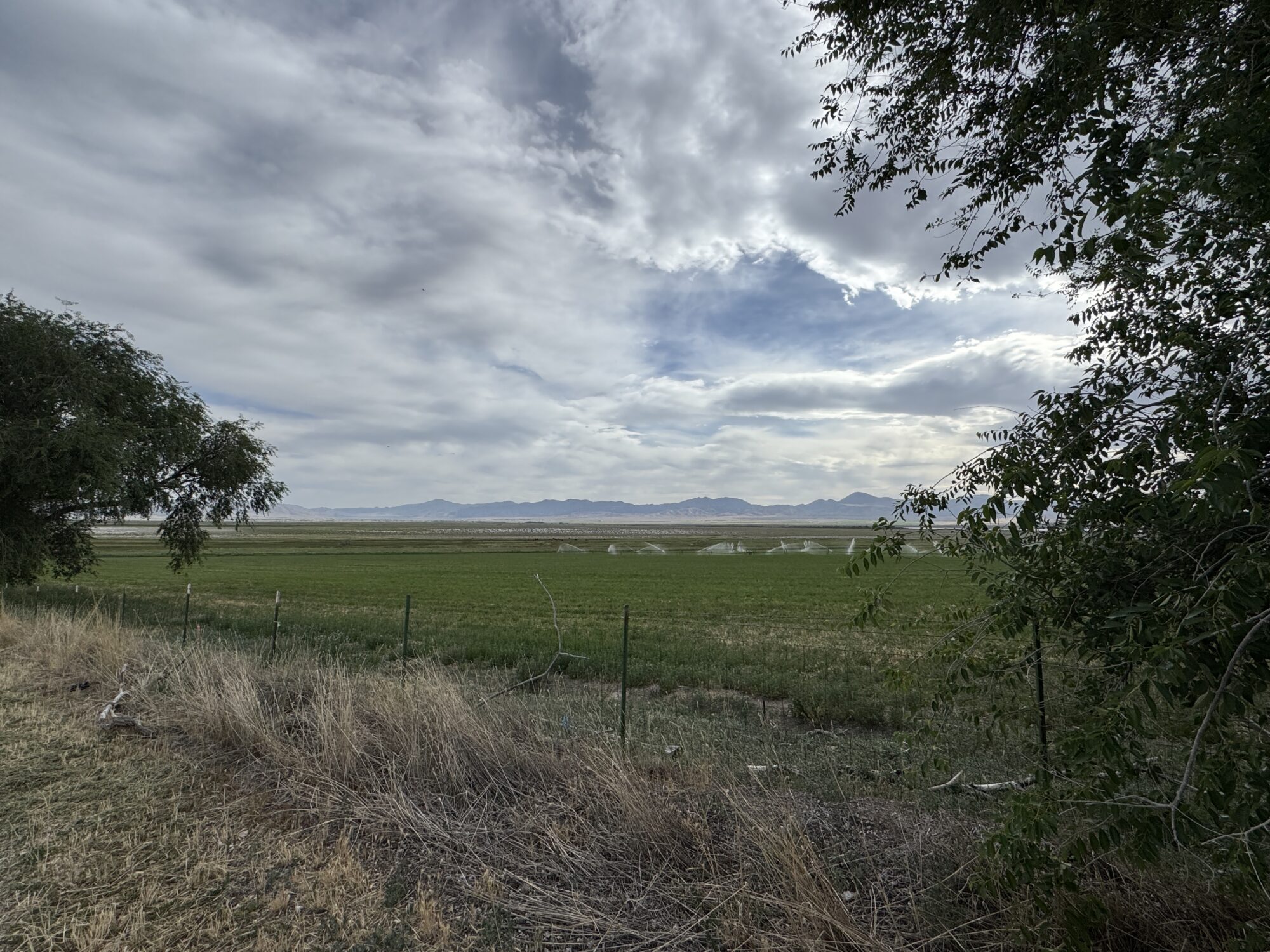 The White Lake area near Genola is pictured on June 8, 2026.