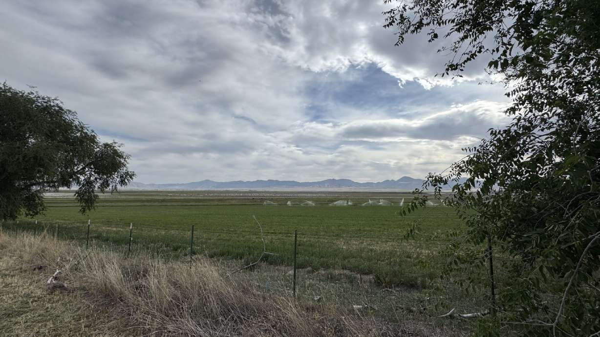 The White Lake area near Genola is pictured on June 8, 2026.