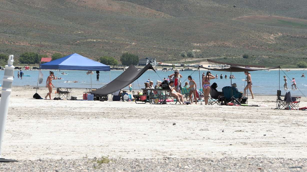 Citizen group fundraises to keep quagga mussels out of Bear Lake